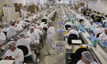 Indústria cresce 1,2% em março, após 5 meses de queda ou estabilidade