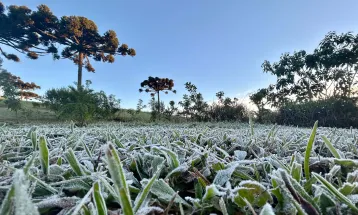 Primeira onda de frio chega ao Paraná semana que vem com termômetros perto de 0ºC