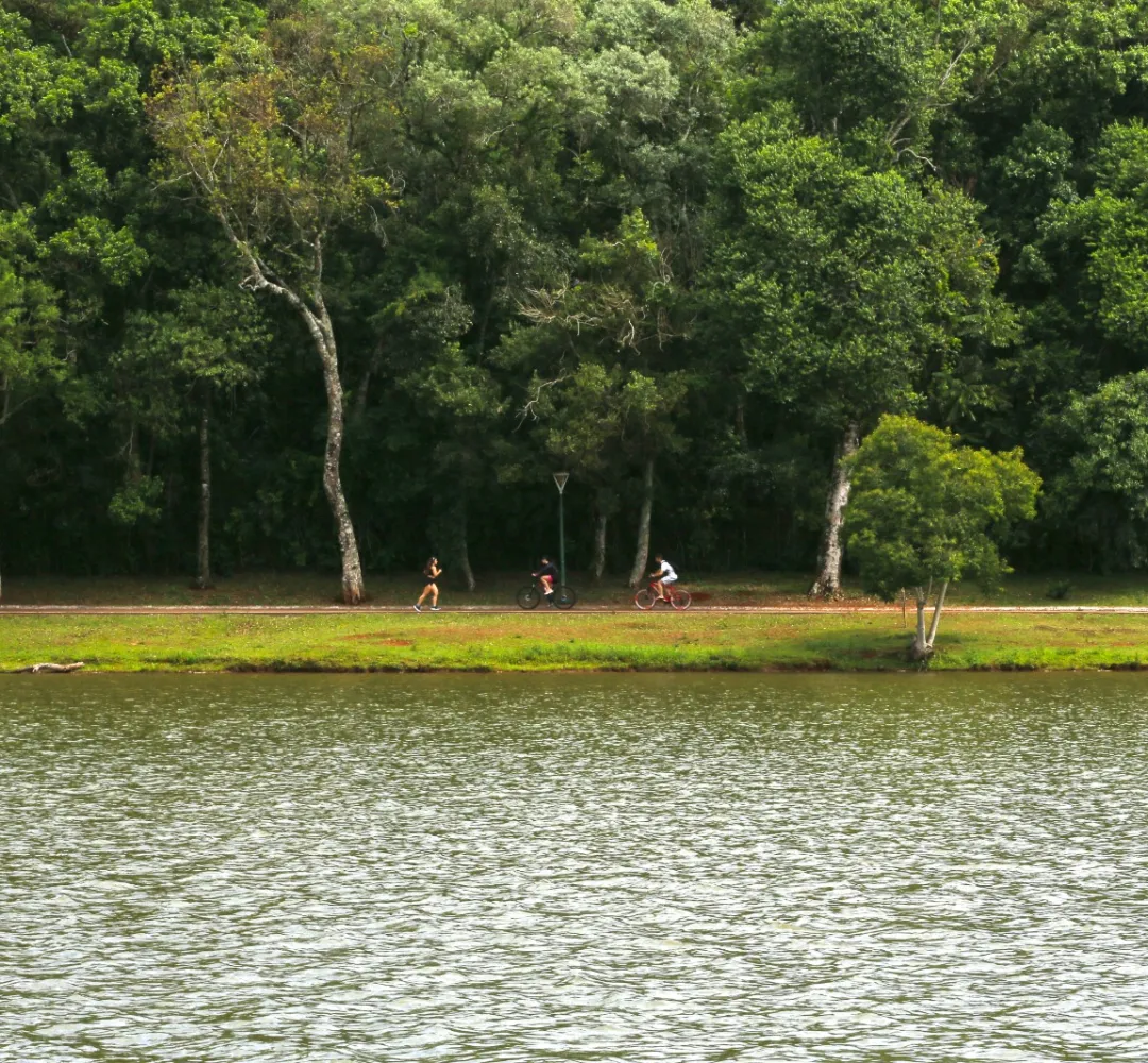 Lago Municipal