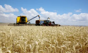 Nova lei do Seguro Rural avança na Câmara e fixa prazo máximo para indenização ao produtor