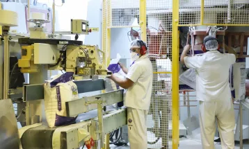 21,9 mil vagas de emprego: regiões de Curitiba e Cascavel puxam as frentes de trabalho