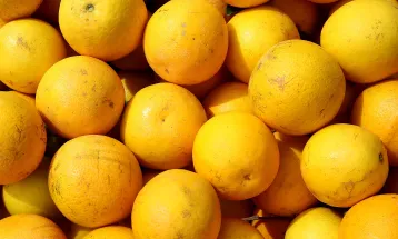 Agronegócio do Paraná começa 2026 com alimentos mais baratos e recordes nas exportações