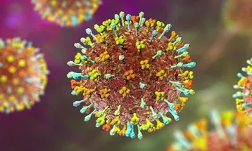 Vírus Nipah na Índia: OMS diz que risco de propagação é baixo