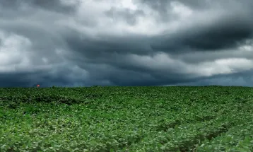 Paraná terá feriadão de chuva após chegada de ciclone na região