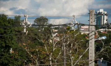 Projeto na Alep quer barrar exigência de poda pela Copel a produtores rurais