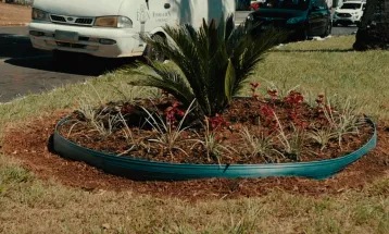 Avenida das Cataratas sofre vandalismo e furto de flores