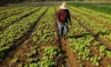 Congresso discute mudanças na Reforma Agrária diante de baixa renda nos assentamentos