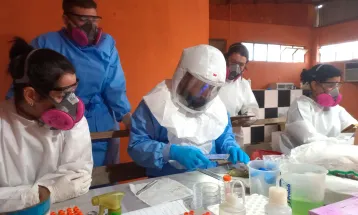 Paraná confirma dois casos de hantavírus e monitora outros 11 suspeitos