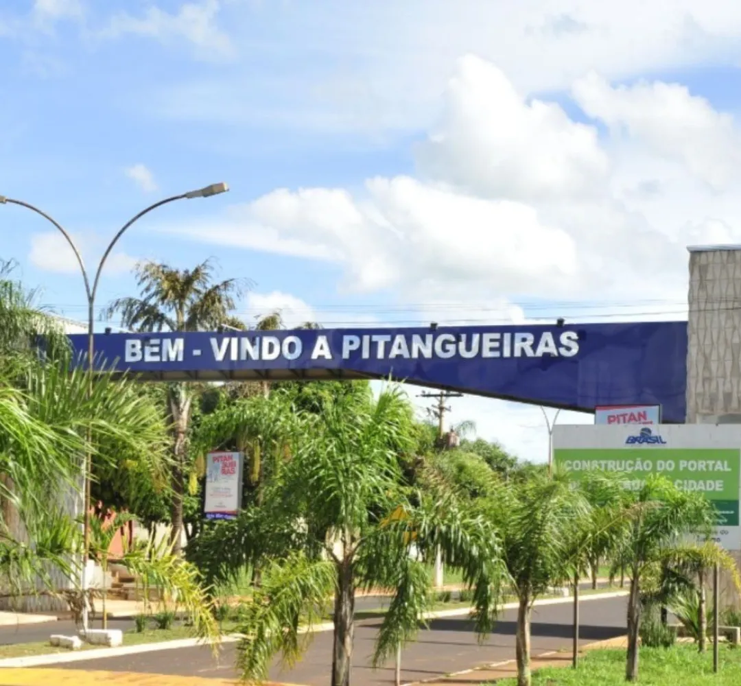 Pintangueiras