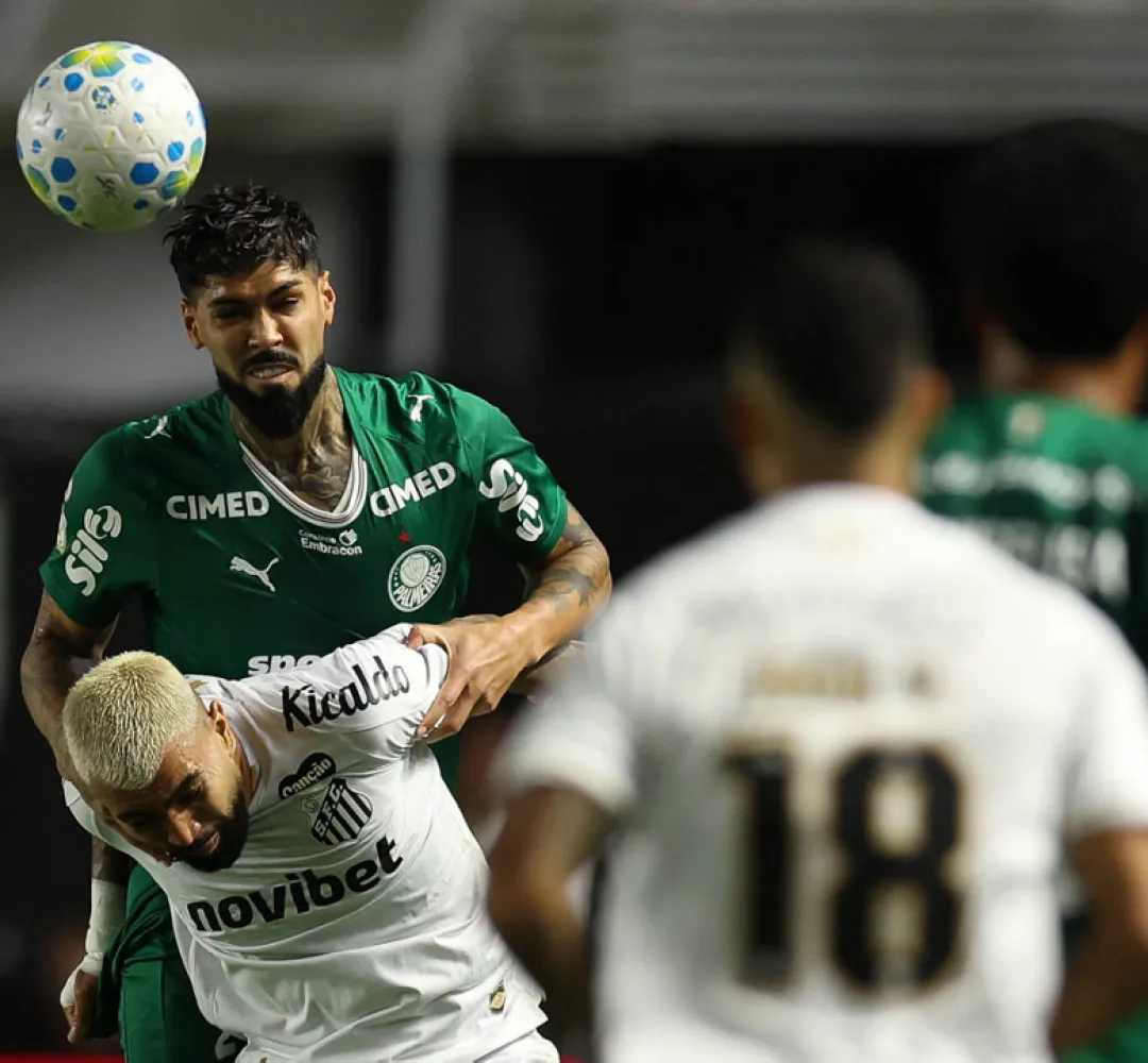 palmeiras