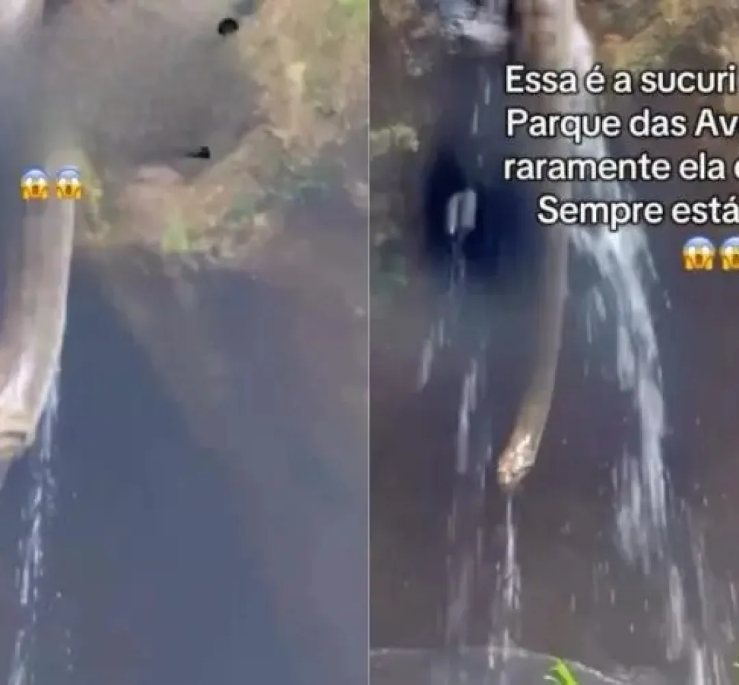 SUCURI