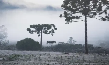 Brasil tem feriado de extremos: frio abaixo de zero no Sul e calor perto dos 40°C no Norte