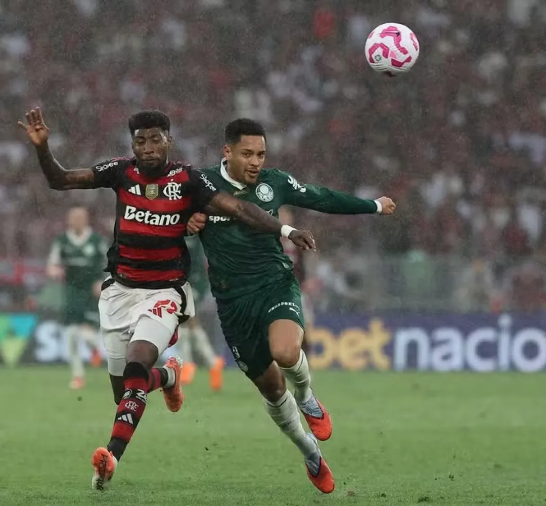 flamengo palmeiras