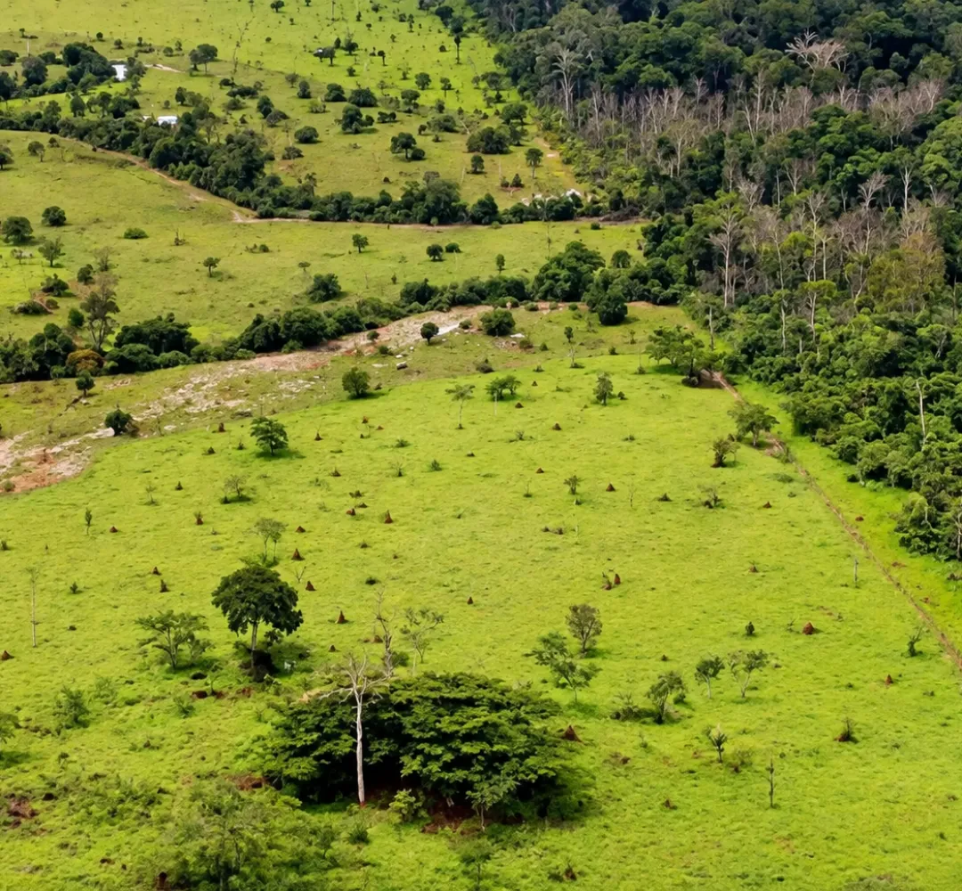Propriedade rural