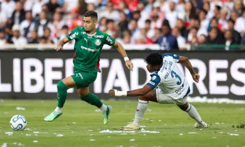 Brasileirão: Verdão tenta assumir a ponta contra o Grêmio; onde assistir?